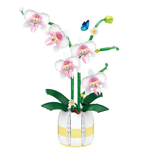 orchid flower